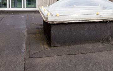disadvantages of Elliots Town flat roofs